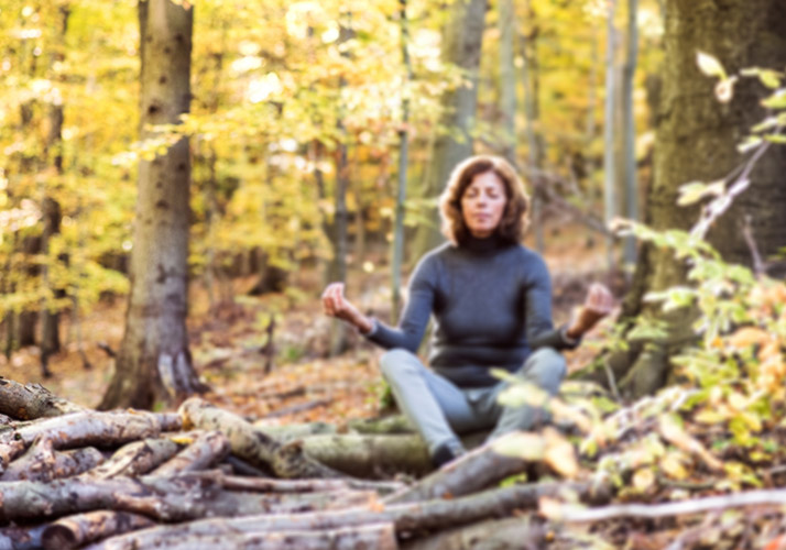 Meditation in the woods
