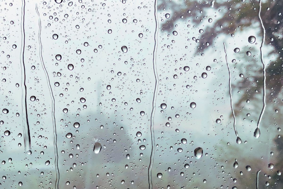 A Society of Secrecy: Navigating Grief After My Daughter’s Suicide How Are You?