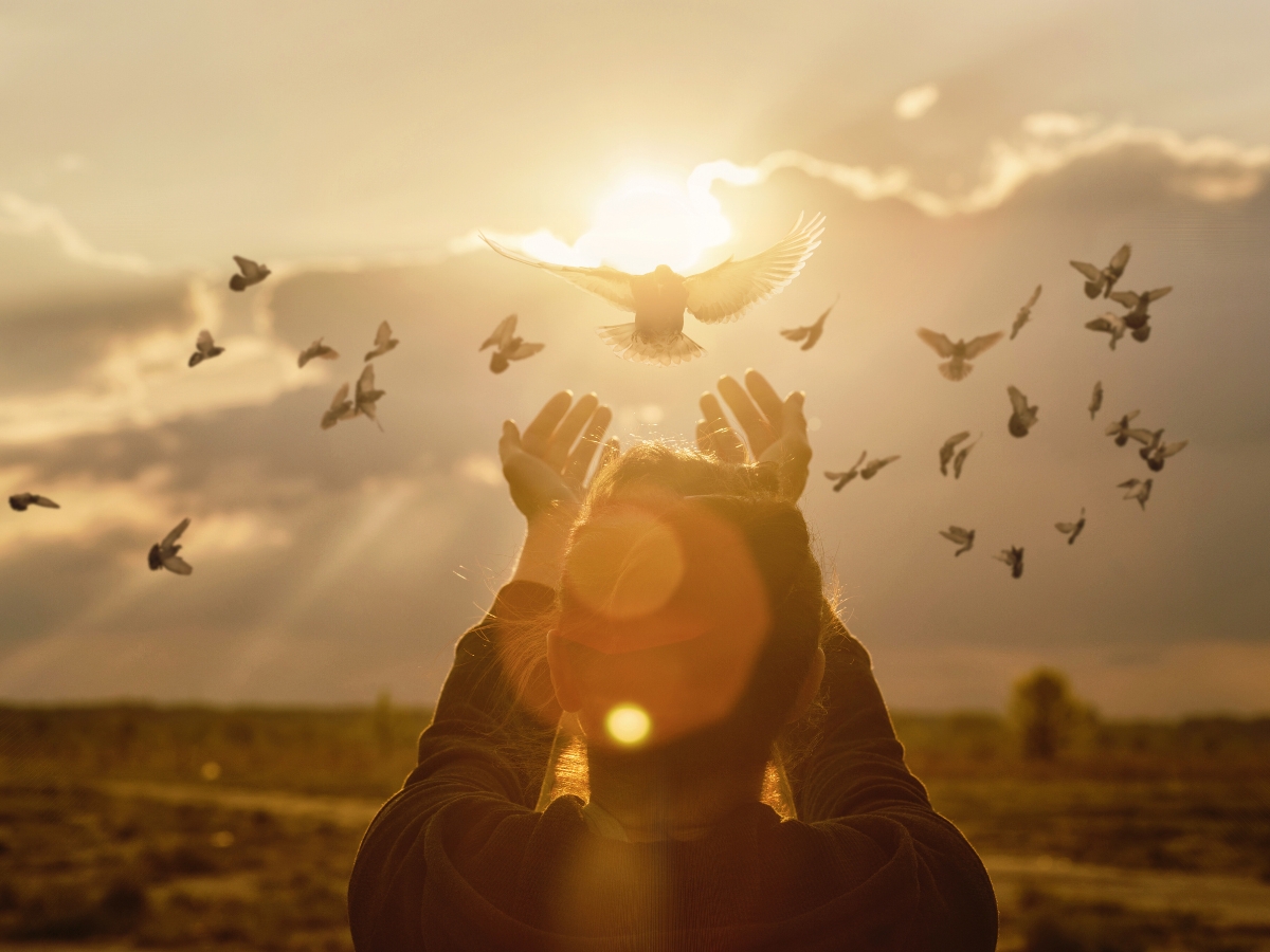 Closing Prayer Open hands releasing/receiving doves in a beautiful, warm sunset