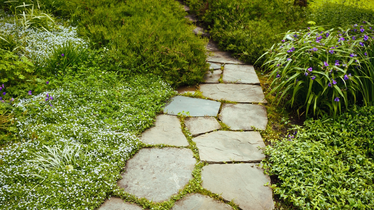 My Story of Scars A series of weathered stones arranged in a path, each one representing a different life experience