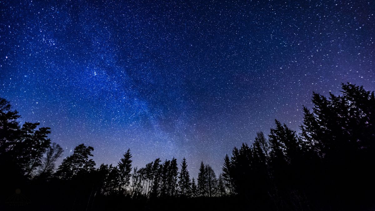 Understanding Life Beyond Starlit sky over northern woods, deep blues and purples with stars.