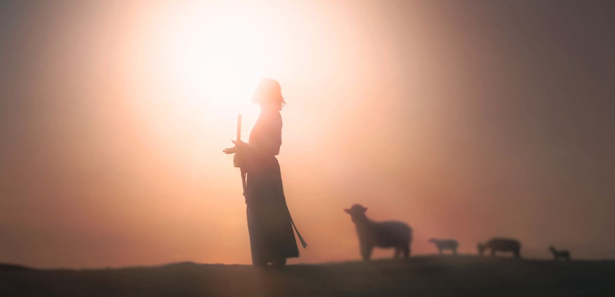 Miracles Are Guided, Not Forced Jesus leading his sheep into the light