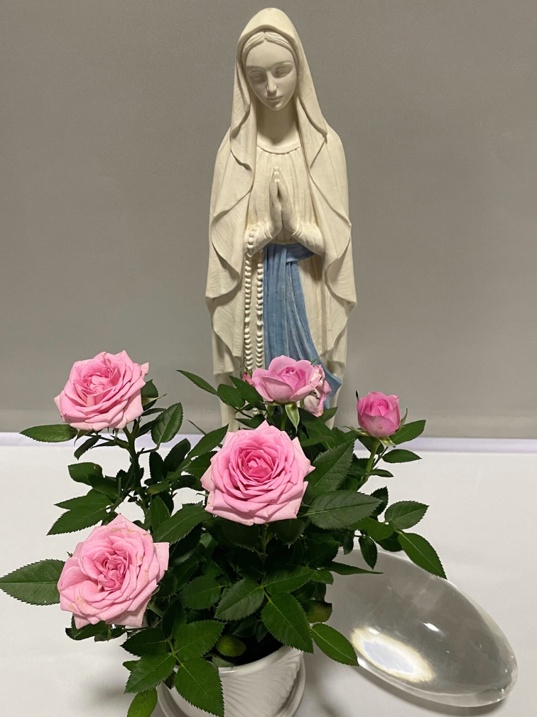 mother-mary-pink-roses-divine-mother-altar Pink roses, offered in gratitude — a gesture that has never left me.